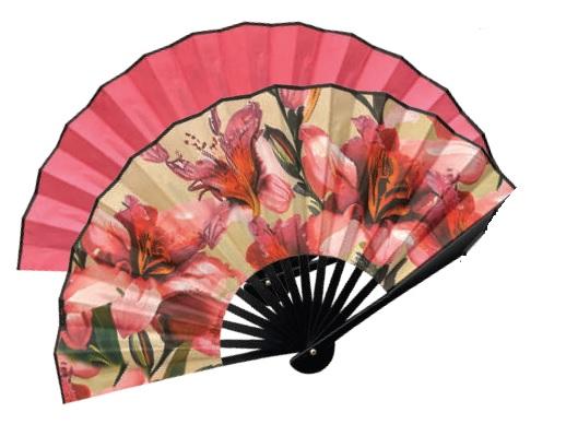 VENTAGLIO IN PLASTICA STAMPATI
DIAMETRO CM48 La Bussola Ventagli Ventaglio