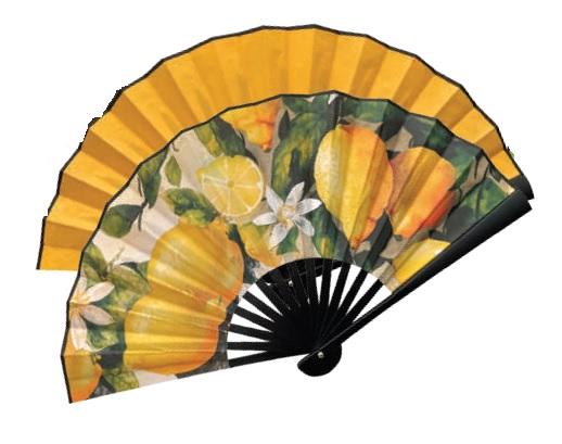 VENTAGLIO IN PLASTICA STAMPATI
DIAMETRO CM48 La Bussola Ventagli Ventaglio