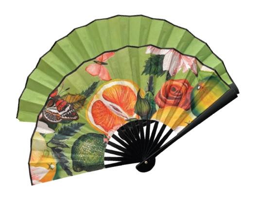 VENTAGLIO IN PLASTICA STAMPATI
DIAMETRO CM48 La Bussola Ventagli Ventaglio