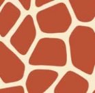 Triangolo con coppa estraibile + Slip coulisse Verdissima Bikini Triangolo