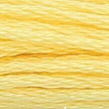 ANCHOR Pearl Cotton 8
10 Gr. Anchor