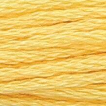 ANCHOR Pearl Cotton 8
10 Gr. Anchor
