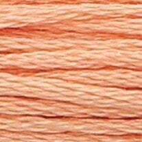 ANCHOR Pearl Cotton 8
10 Gr. Anchor