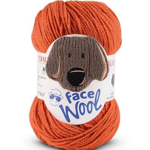 FACE WOOL 100G 50% Lana Vergine  Merino 50% Microfibra Mondial