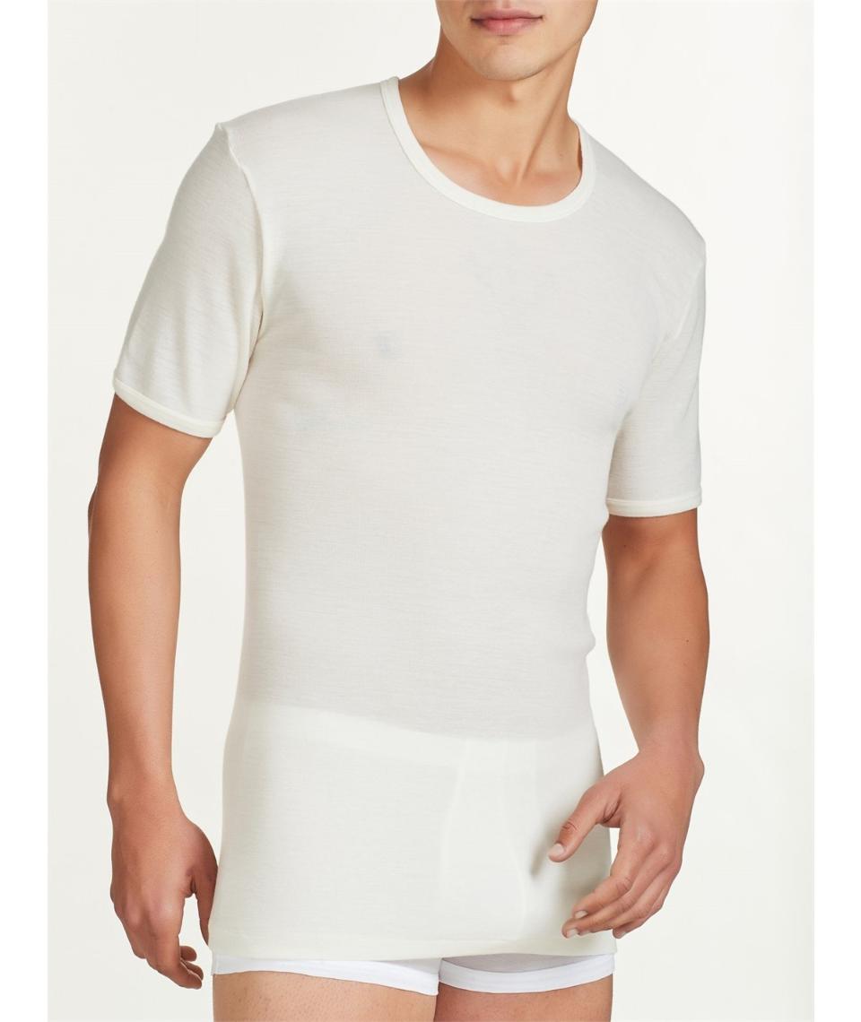 100MERINO MC UOMO Ragno Maglia girocollo mc in pura lana.