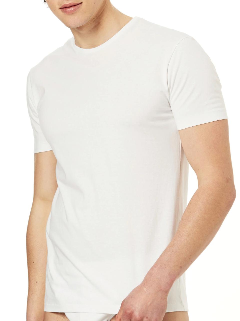 BIO COTTON MC Ragno maglia mc uomo
