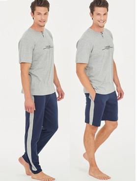 JS CO VI TRITTICO Ragno