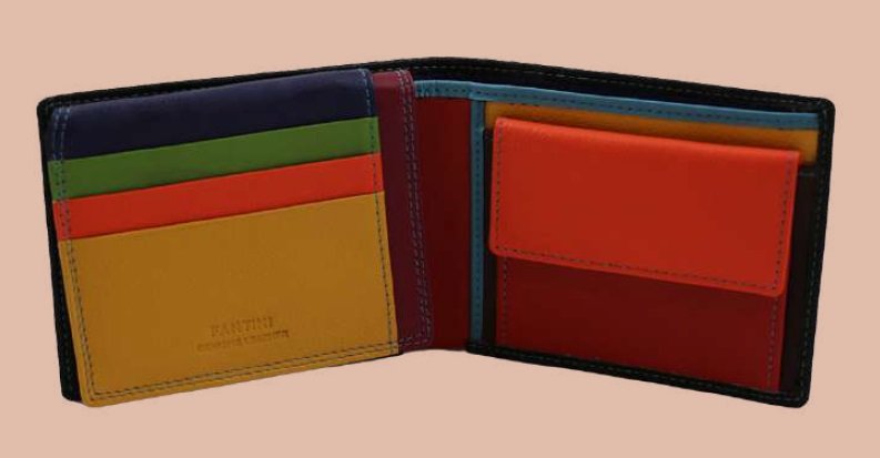 Portafogli multicolor12 x 2,5 x 9,5 Fantini Portafogli
