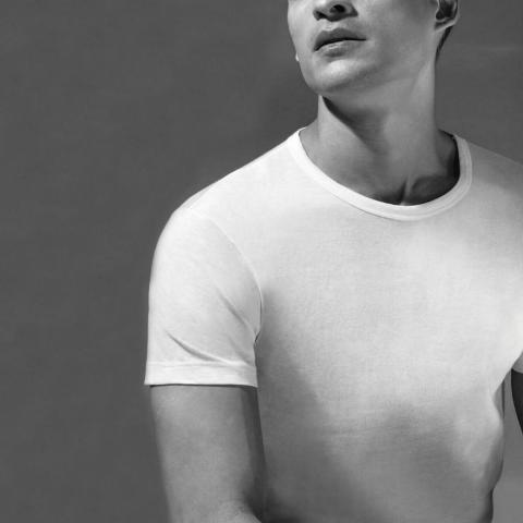 BIPACK COT. MC U Ragno Maglia uomo mc cotone