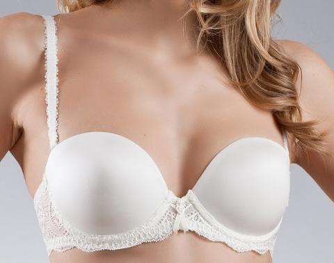 Angel Curves WDP Triumph Reggiseno Fascia