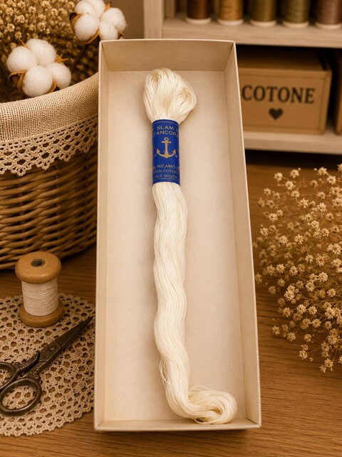 SCATOLA 36/47 MATASSE COTONE DA RICAMO LUNGO DMC vecchio Dmc Cotone