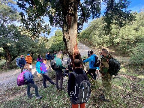 scegli il tour di Sicilia che preferisci