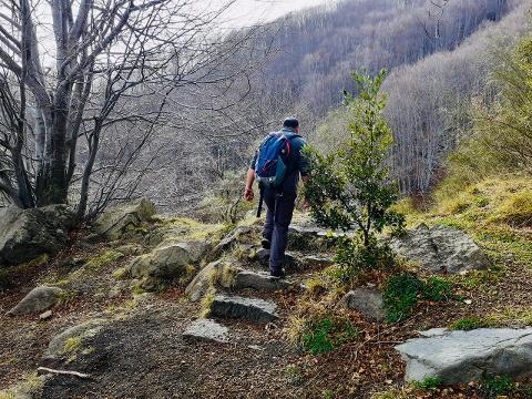 scegli il tour di Sicilia che preferisci