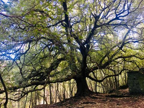 scegli il tour di Sicilia che preferisci