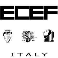 Ecef