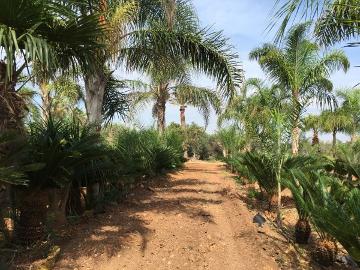 Chi Siamo Marsala Trapani Il Giardino Soc Coop Agricola Di Produzione E Lavoro