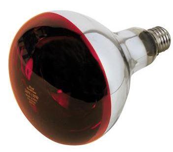 Lampada Infrarossi E27 150w