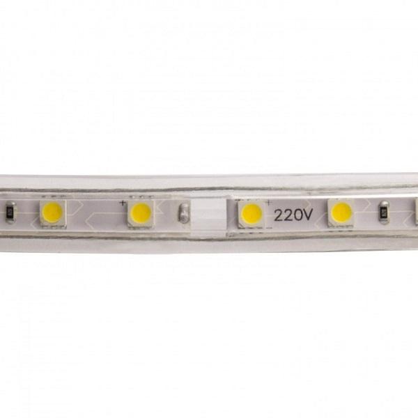 Strip LED 5050 IP65 60 led/mt 8w/mt 230V Luce Fredda Pris