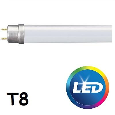 Neon Led T8 60cm 10w Luce Fredda