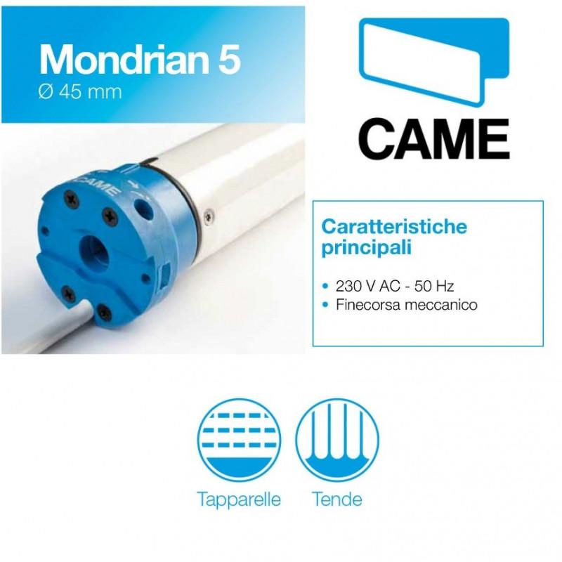 CAME Kit Mondrian 5 50Nm con perno Q per Tapparelle e tende