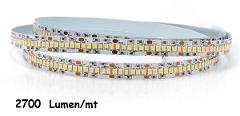 Strip LED 24V 2835 240 Led/mt 19,2w/mt 2700 Lumen/mt Luce Fredda Poliplast