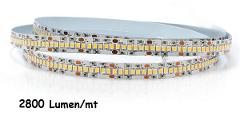 Strip LED 24V 2835 240 Led/mt 19,2w/mt 2800 Lumen/mt Luce Natura Poliplast