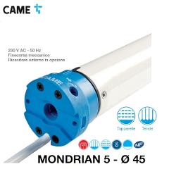 CAME Kit MONDRIAN 5 50Nm con perno Q per Tapparelle e Tende CAME