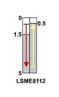 Interruttore Fine Corsa Con rotella 1 NC + 1 NO IP65 Tracon