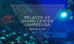 PELAGOS 2.0 DIVING CENTER LAMPEDUSA