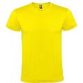 INGROSSO TSHIRT PERSONALIZZATE ROLY (10 COLORI)