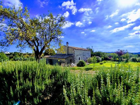 Villa in Vendita a Noto (Siracusa)