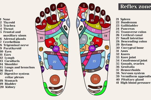 Riflessologia Plantare