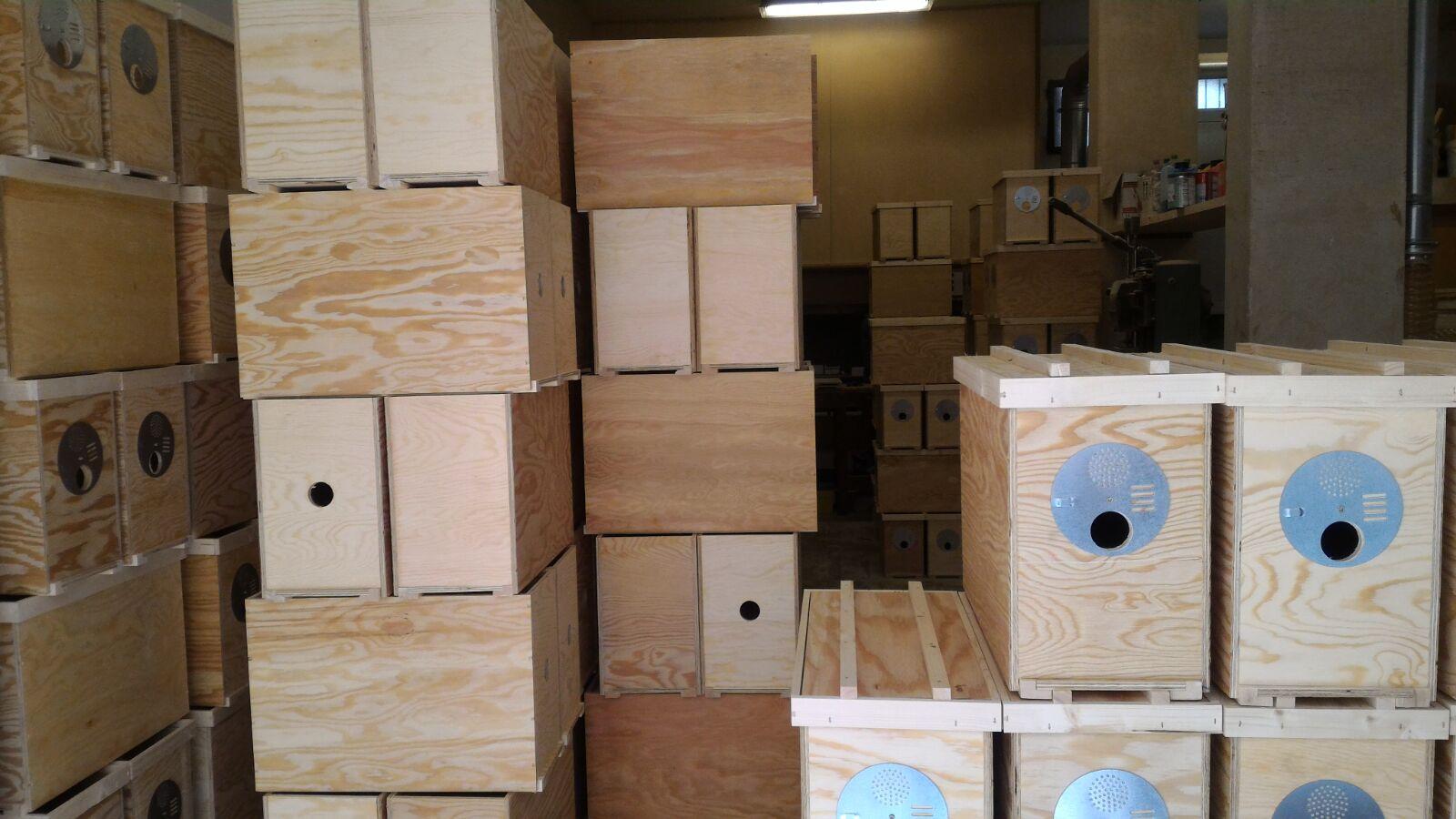 Cassettino Portasciami a 5T in legno (NON VERNICIATO)