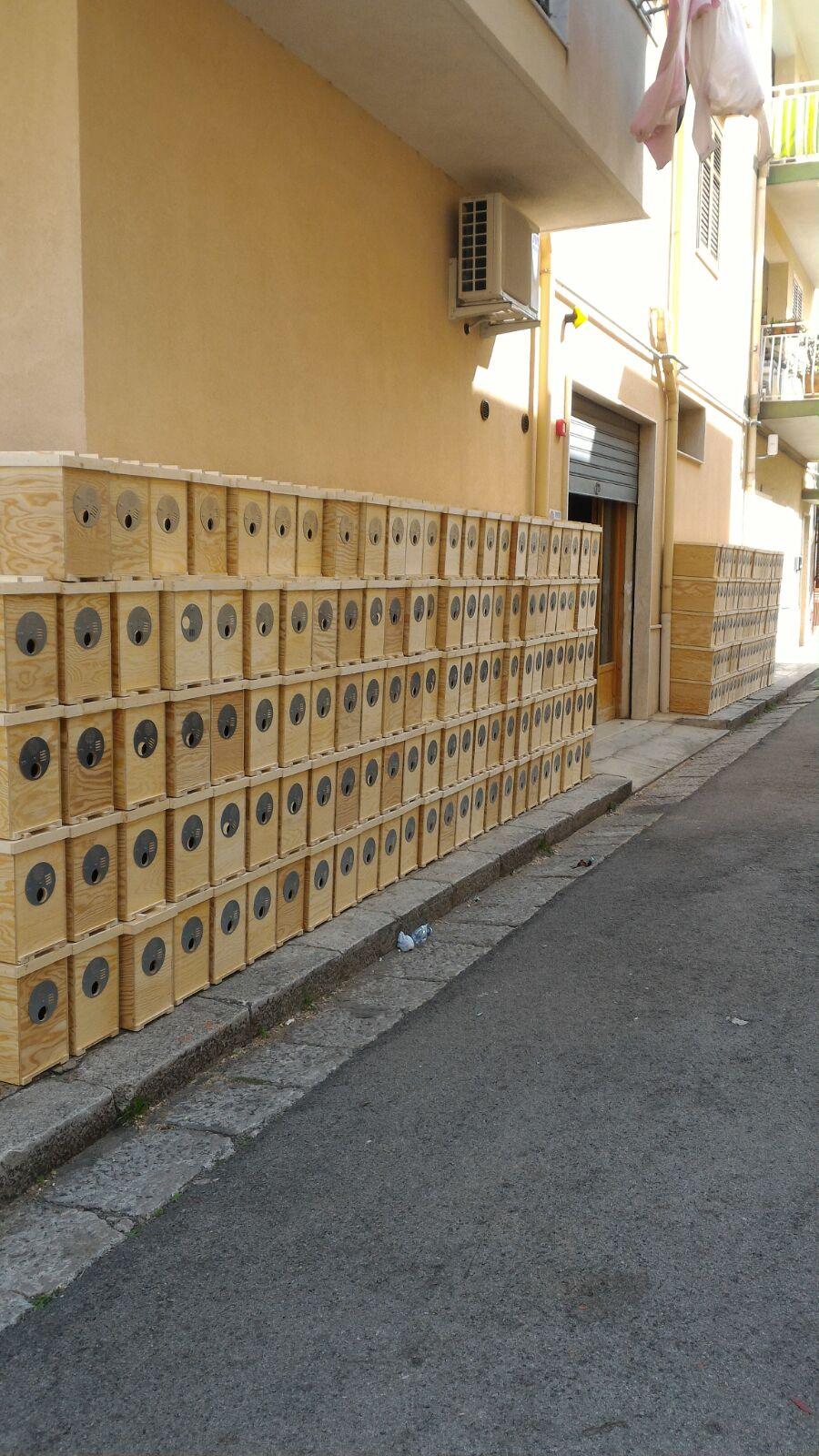 Cassettino Portasciami a 5T in legno (NON VERNICIATO)