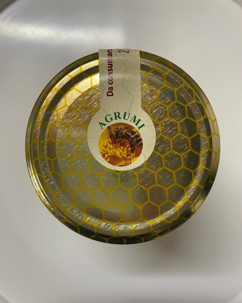 AGRUMI  500g - Miele di Sicilia - "Apicoltura Giuseppe Zerilli"