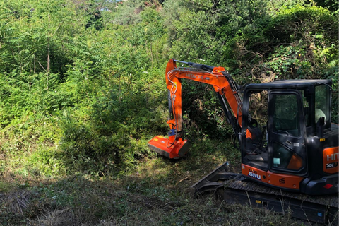 Pulizia terreni incolti con trinciatura professionale