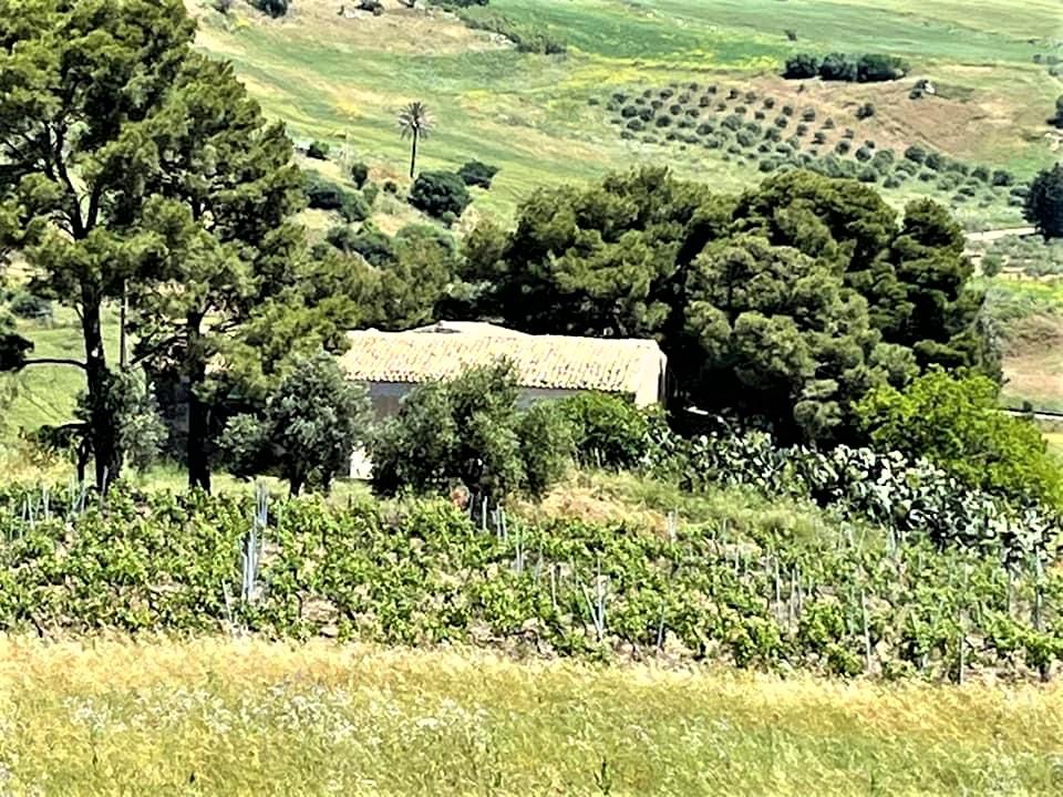 Casale in Vendita a Castellammare del Golfo Balata Di Baida (Trapani)