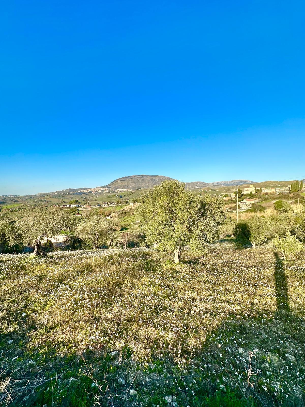 Rustico di campagna in Vendita a Chiusa Sclafani C.da Roccazzo (Palermo)