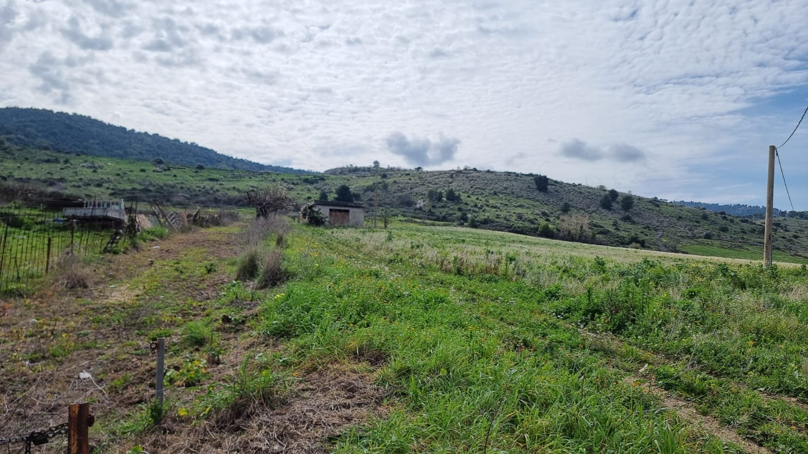 Terreno Agricolo in Vendita a Sambuca di Sicilia (Agrigento)