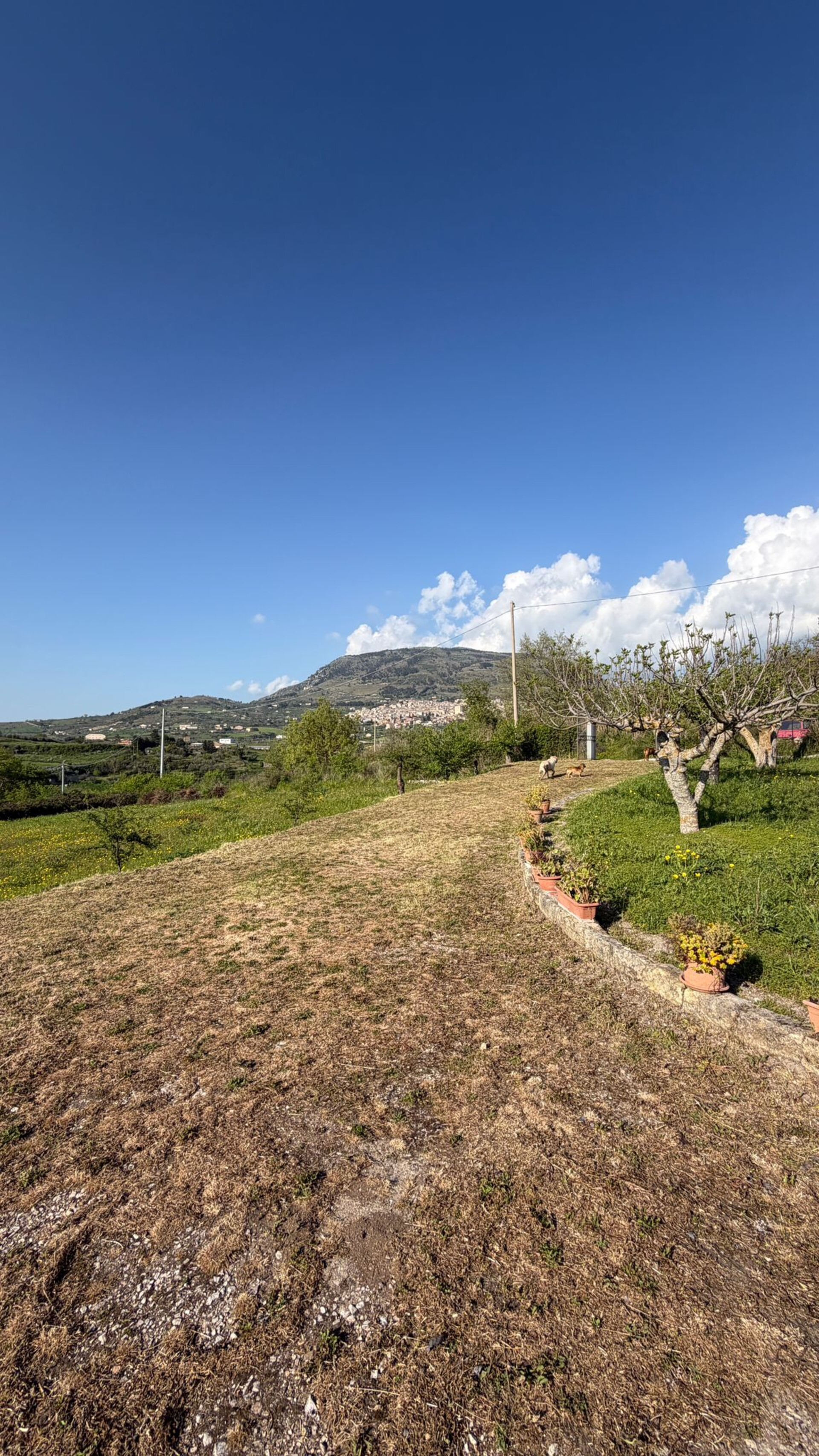 Villa in Vendita a Bisacquino (Palermo)