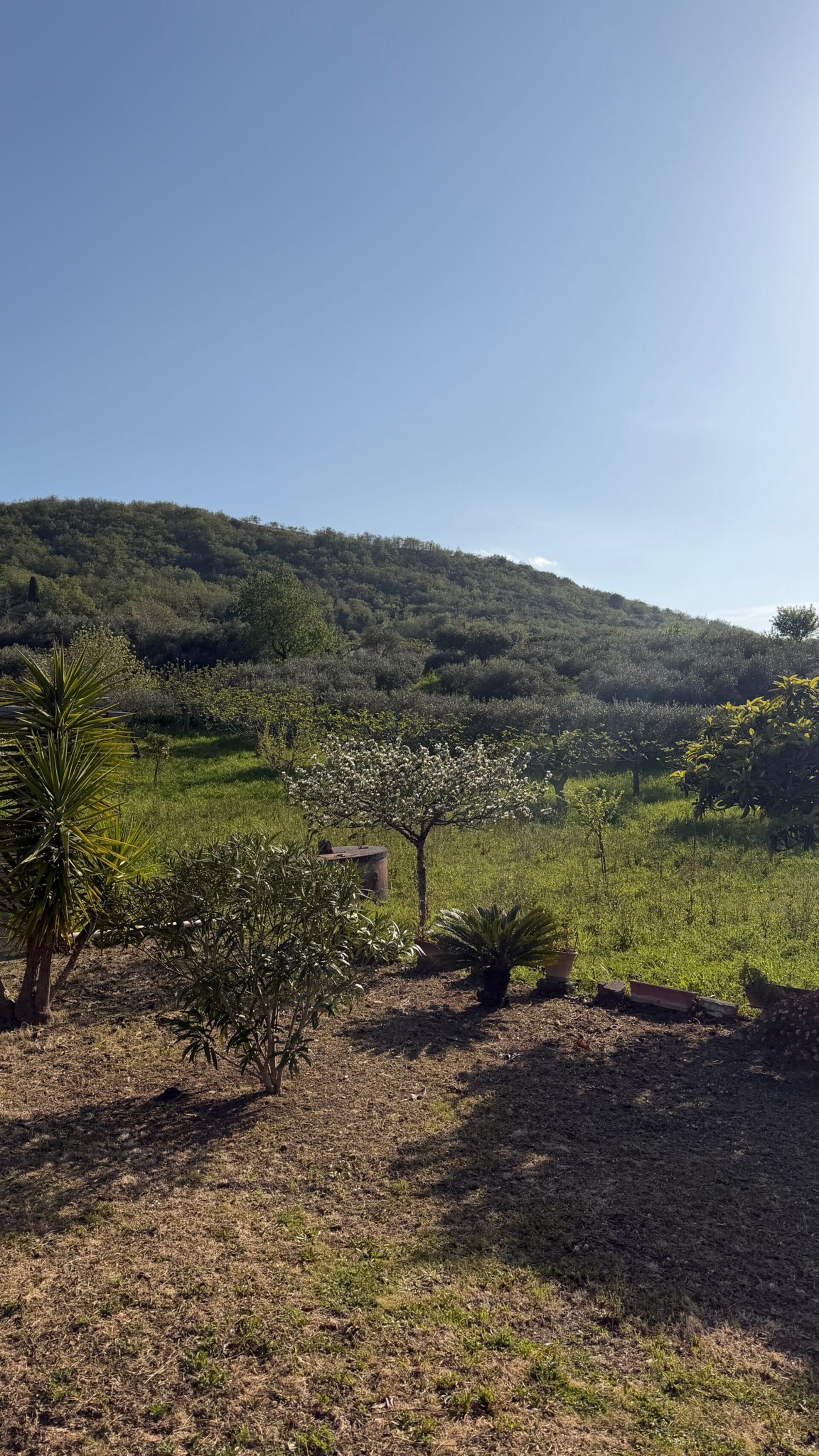 Villa in Vendita a Bisacquino (Palermo)