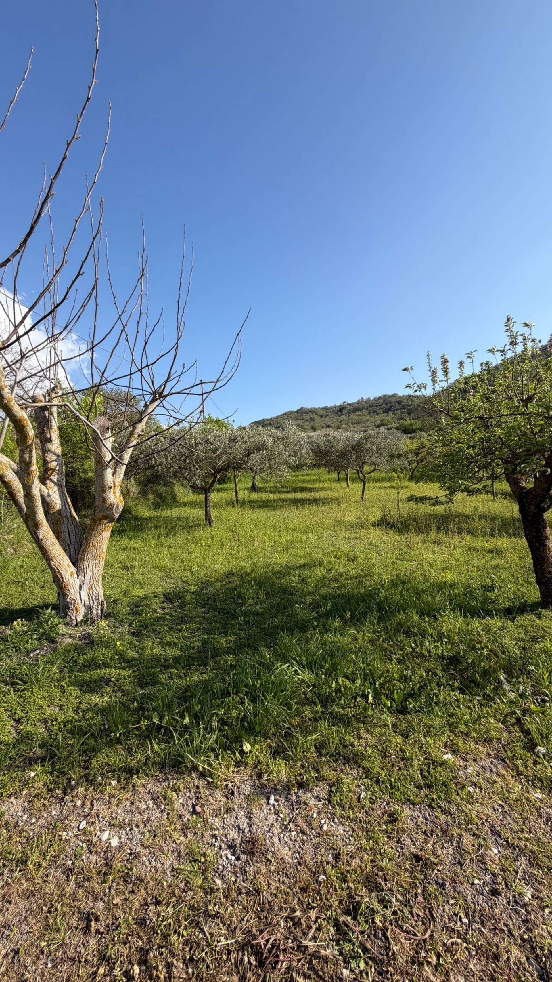 Villa in Vendita a Bisacquino (Palermo)