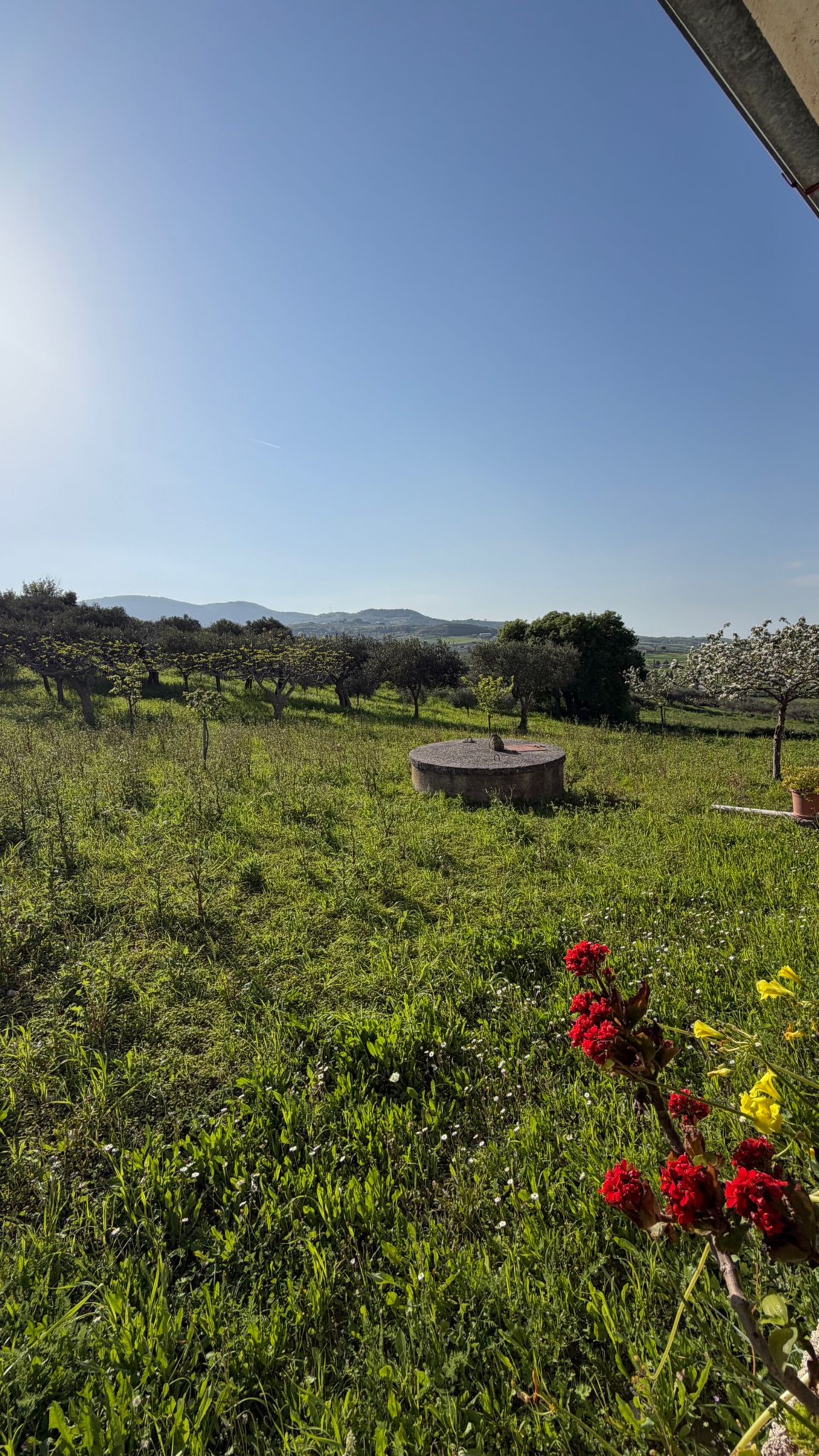 Villa in Vendita a Bisacquino (Palermo)