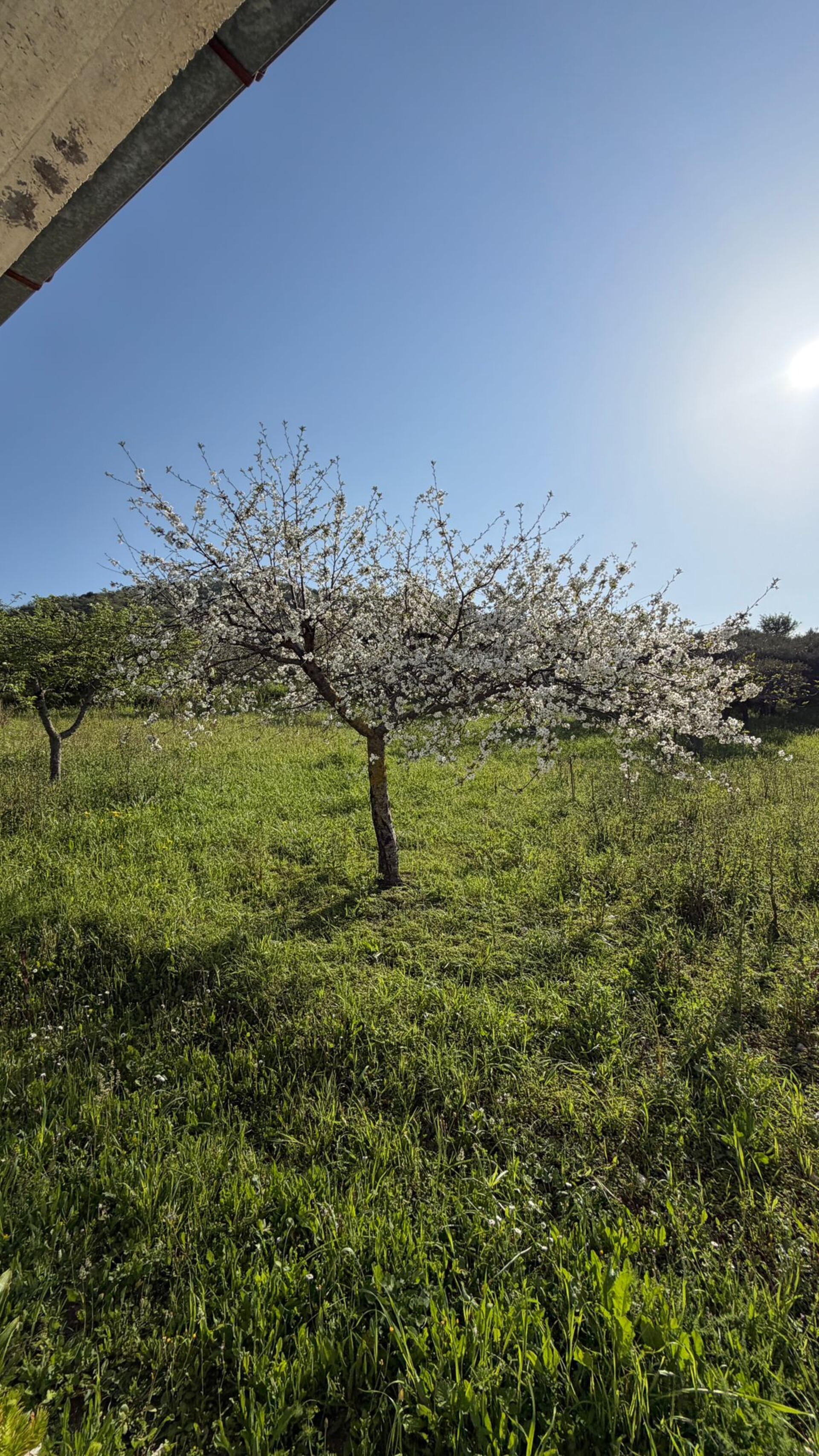 Villa in Vendita a Bisacquino (Palermo)