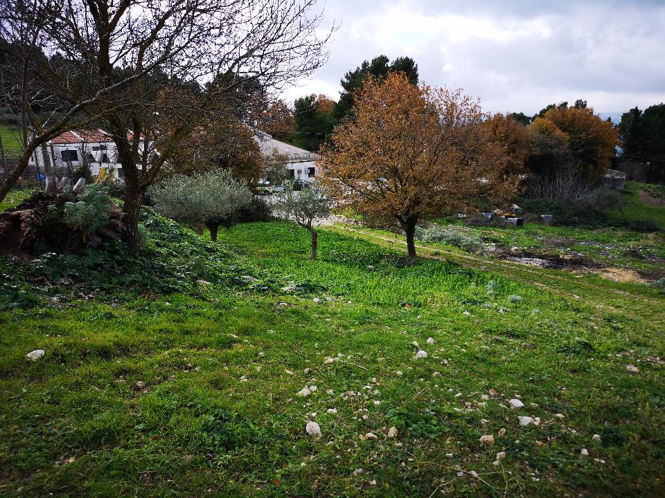 Villa in Vendita a Giuliana periferia (Palermo)
