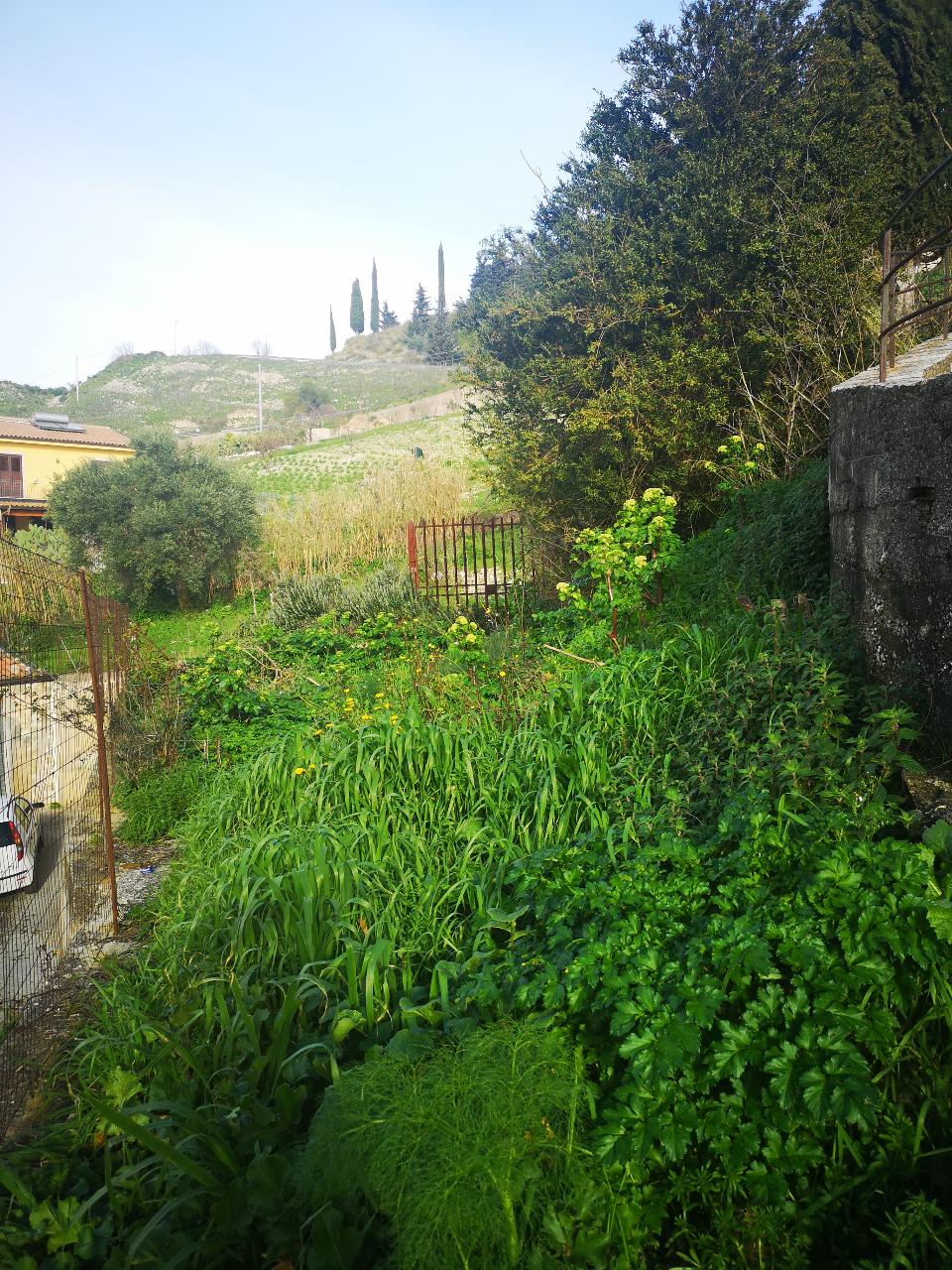 Terreno Agricolo in Vendita a Chiusa Sclafani San Michele (Palermo)