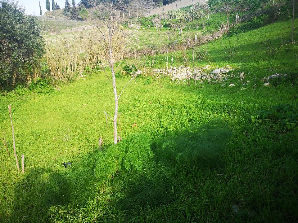 Terreno Agricolo in Vendita a Chiusa Sclafani San Michele (Palermo)