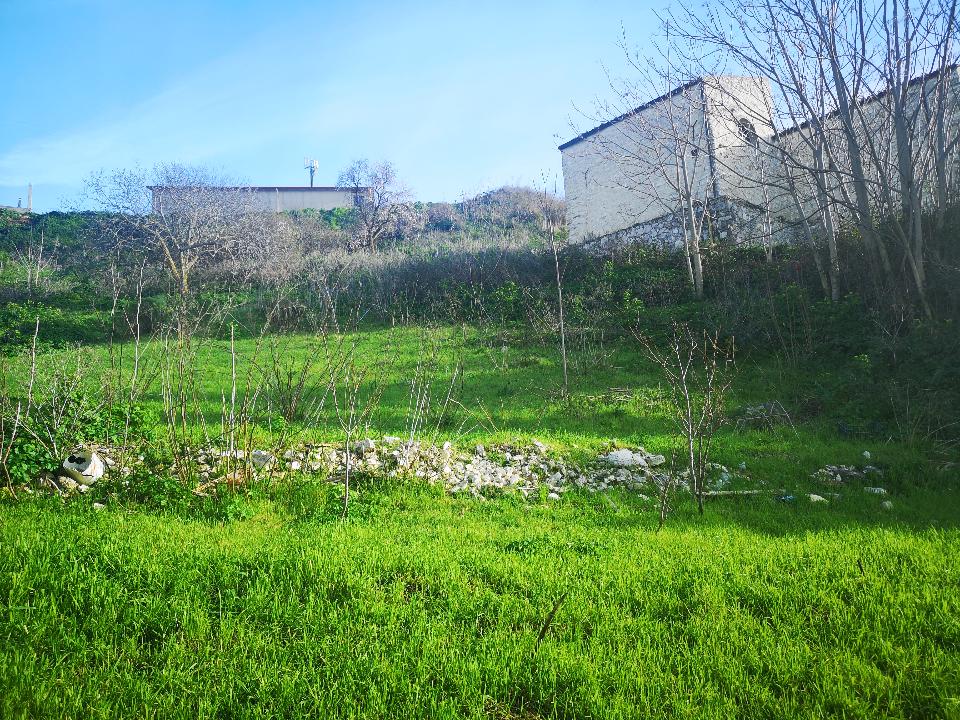 Terreno Agricolo in Vendita a Chiusa Sclafani San Michele (Palermo)