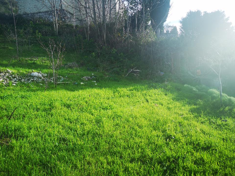 Terreno Agricolo in Vendita a Chiusa Sclafani San Michele (Palermo)