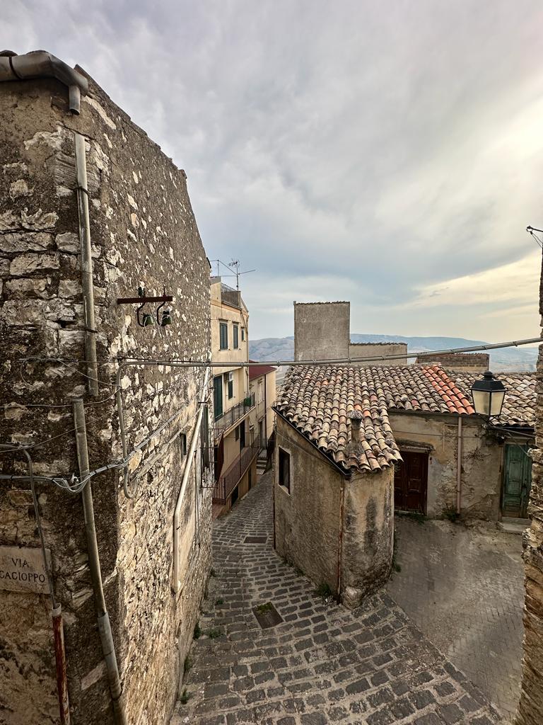 Casa singola in Vendita a Giuliana Centro Storico (Palermo)